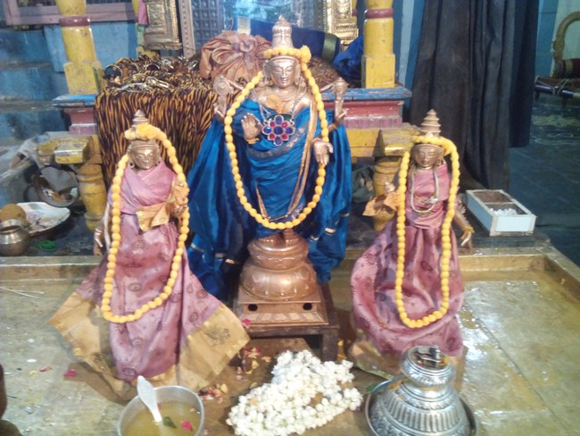 Perungalathur Srinivasa Perumal Temple Pavithrotsavam day 1 2014 09