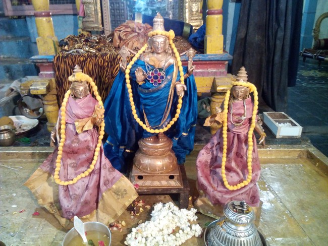 Perungalathur Srinivasa Perumal Temple Pavithrotsavam day 1 2014 10