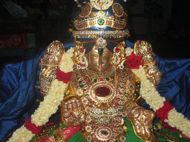 Pondicherry Sri Alarmelmangai Thayar Aadi Vellikizhamai Purappadu1