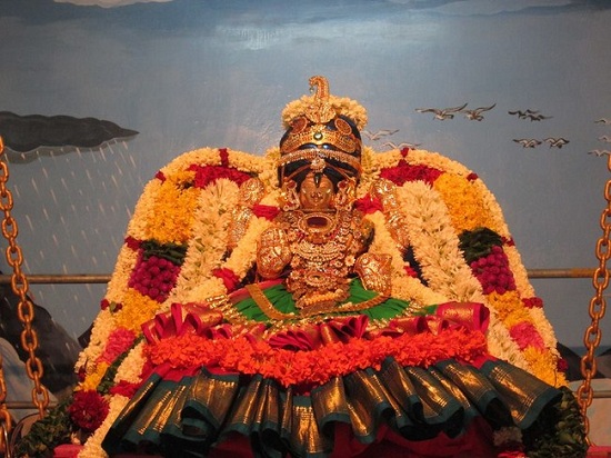 Pondicherry Sri Alarmelmangai Thayar Aadi Vellikizhamai Purappadu3