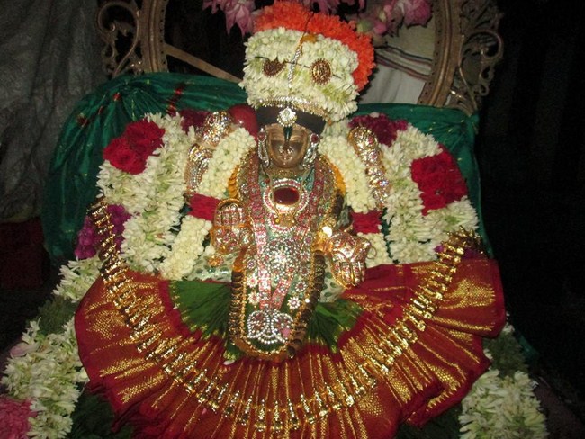 Pondicherry Sri Alarmelmangai Thayar Aadi Vellikizhamai Purappadu4