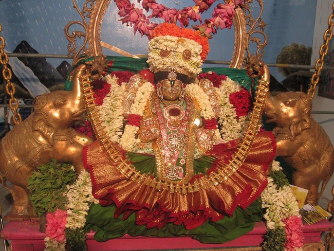 Pondicherry Sri Alarmelmangai Thayar Aadi Vellikizhamai Purappadu5