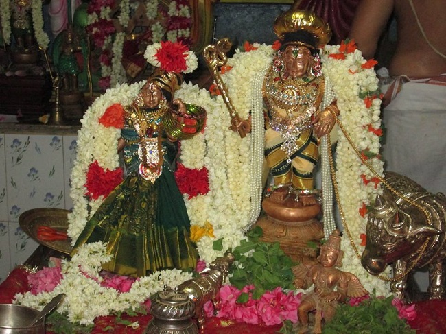 Pondicherry Sri Krishnan Sannadhi  THiruvadipooram Utsavam 2014 2