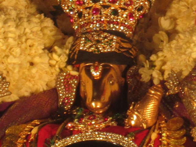Pondicherry Sri Lakshmi Hayagreeva Perumal Sannadhi Brahmotsavam Day 1 2014 08
