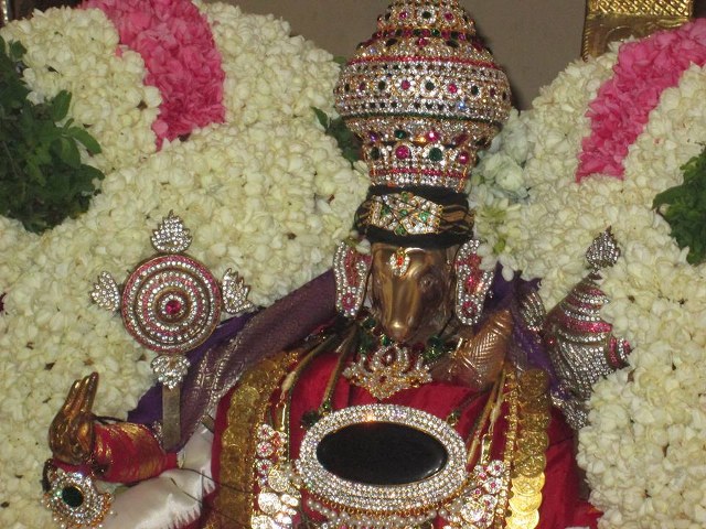 Pondicherry Sri Lakshmi Hayagreeva Perumal Sannadhi Brahmotsavam Day 1 2014 10