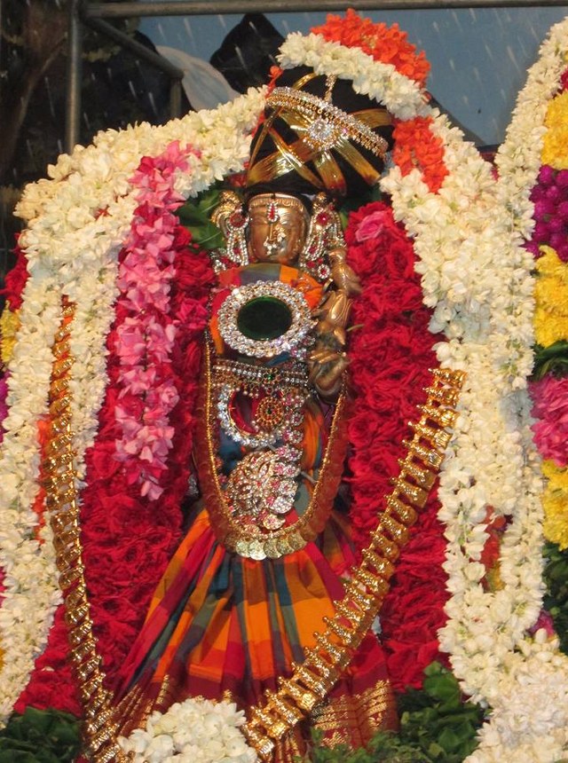 Pondicherry Srinivasan Sannadhi  THiruvadipooram Utsavam 2014 1