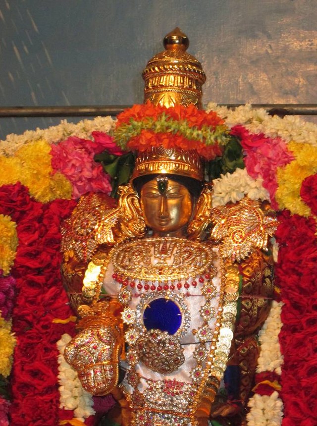 Pondicherry Srinivasan Sannadhi  THiruvadipooram Utsavam 2014 7