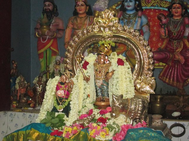 Pondichery Sri Krishnnan Sannadhi Sri Jayanthi Utsavam  2014 3