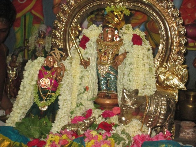 Pondichery Sri Krishnnan Sannadhi Sri Jayanthi Utsavam  2014 4