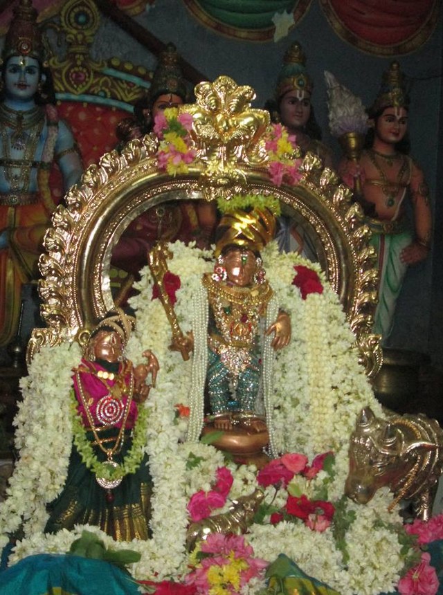 Pondichery Sri Krishnnan Sannadhi Sri Jayanthi Utsavam  2014 7