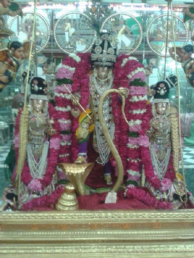 Pushkaram Sri Vaikunthanatha Perumal Temple Oonjal Utsavam1
