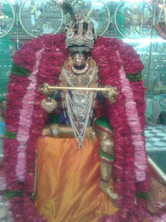 Pushkaram Sri Vaikunthanatha Perumal Temple Oonjal Utsavam11