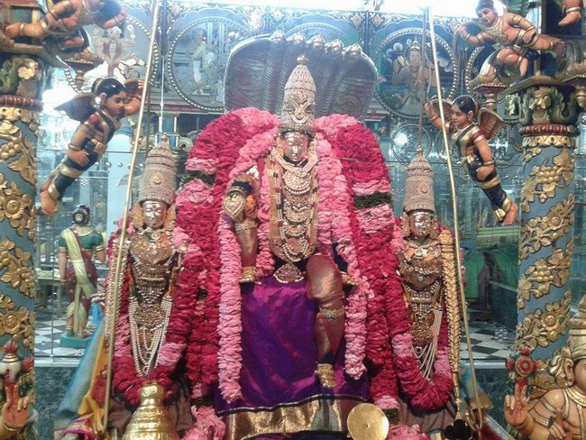 Pushkaram Sri Vaikunthanatha Perumal Temple Oonjal Utsavam5