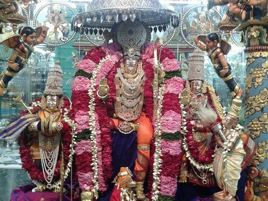 Pushkaram Sri Vaikunthanatha Perumal Temple Oonjal Utsavam6