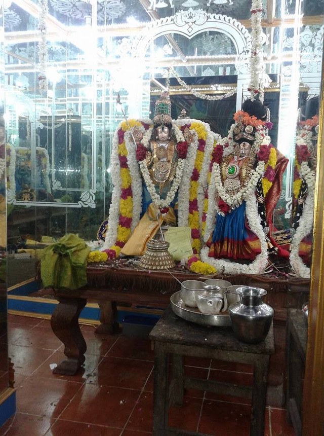 Sirupuliyur Krupasamudra Perumal Kovil Sri Andal THiruvadipooram Utsavam 2014 5