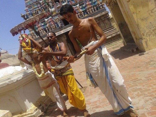 Sirupuliyur Krupasamudra Perumal Temple Pavithrotsavam day 5 2014 1