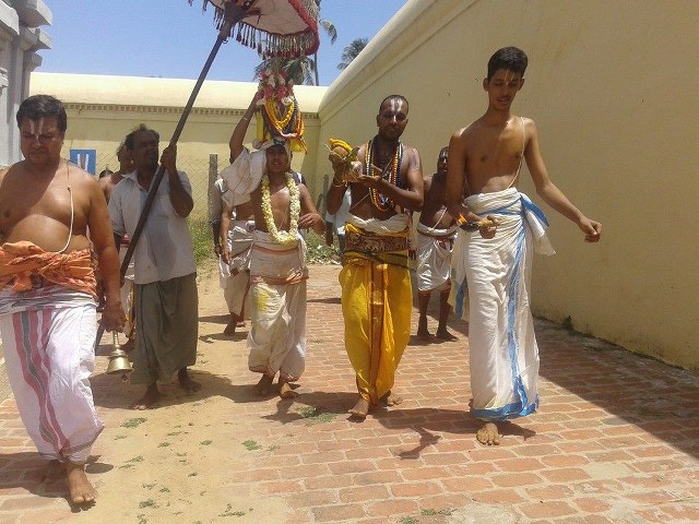 Sirupuliyur Krupasamudra Perumal Temple Pavithrotsavam day 5 2014 2