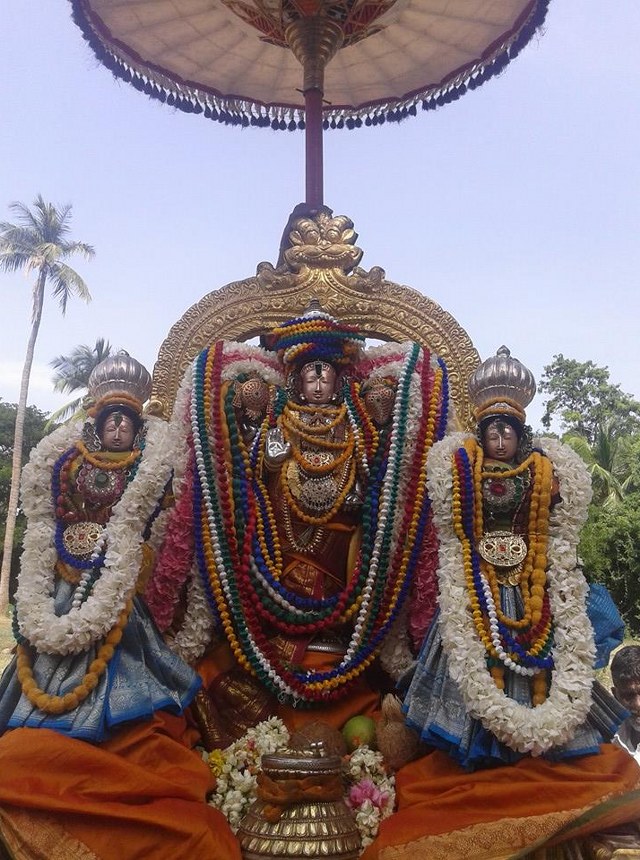 Sirupuliyur Krupasamudra Perumal Temple Pavithrotsavam day 5 2014 4