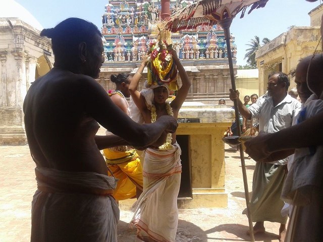 Sirupuliyur Krupasamudra Perumal Temple Pavithrotsavam day 5 2014 6