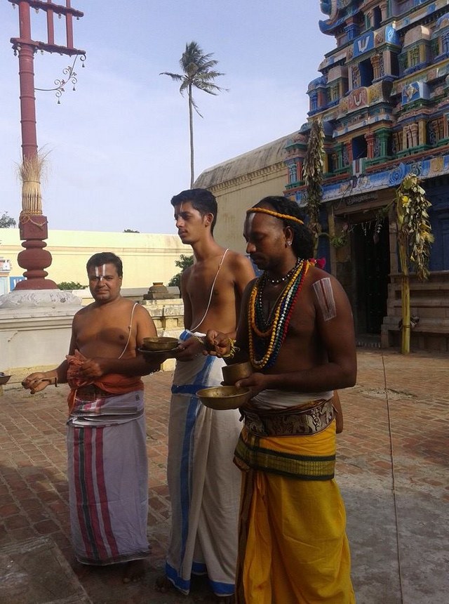Sirupuliyur Krupasamudra Perumal Temple Pavithrotsavam day 5 2014 7
