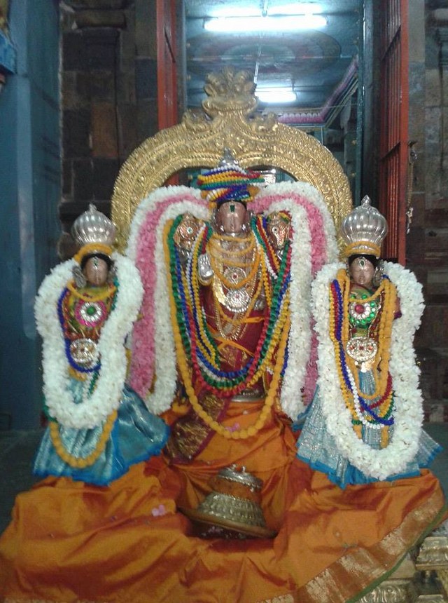 Sirupuliyur Krupasamudra Perumal Temple Pavithrotsavam day 5 mahapoornahuthi 2014 4