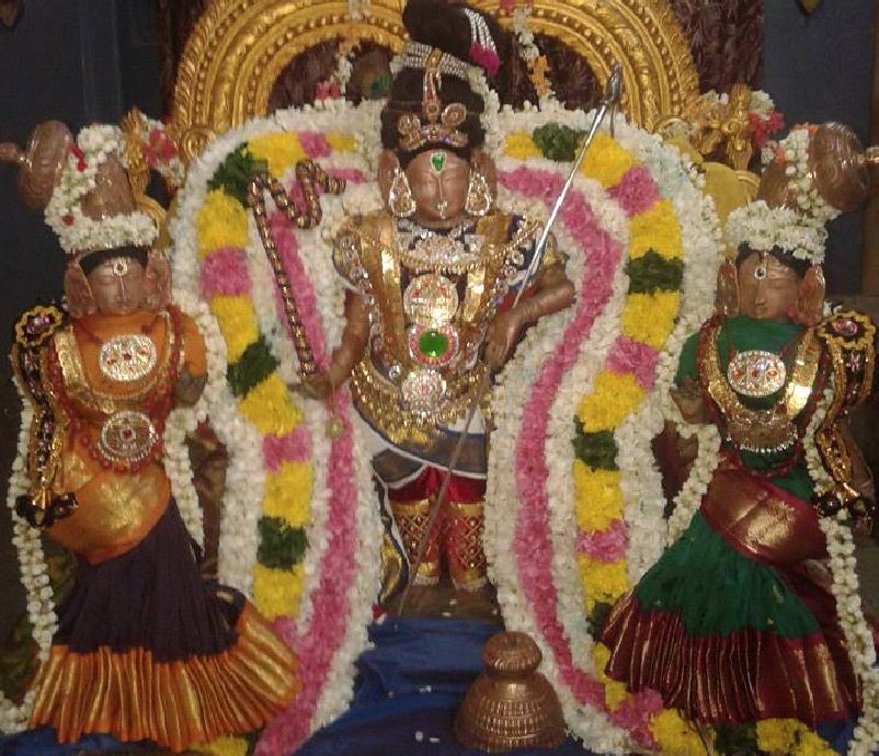Sirupuliyur Krupasamudra perumal kovil sri jayanthi utsavam