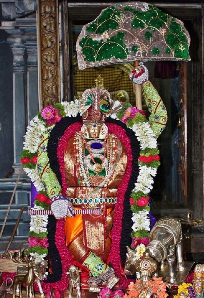 Sri Jayanthi At Pune Sri Ahobila Mutt Sri Balaji Mandir 8