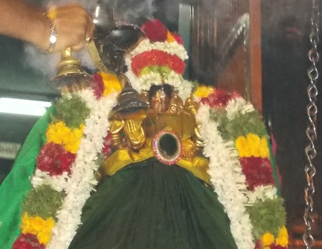 Sri Koodal Mayuravalli Thayar  Kadia velli Purappadu 2014--00