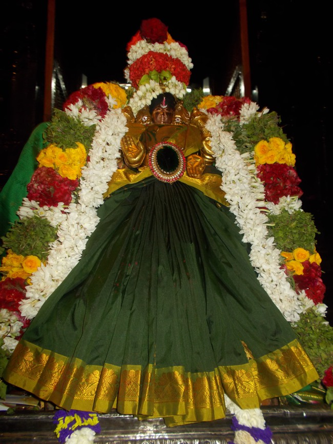 Sri Koodal Mayuravalli Thayar  Kadia velli Purappadu 2014--02