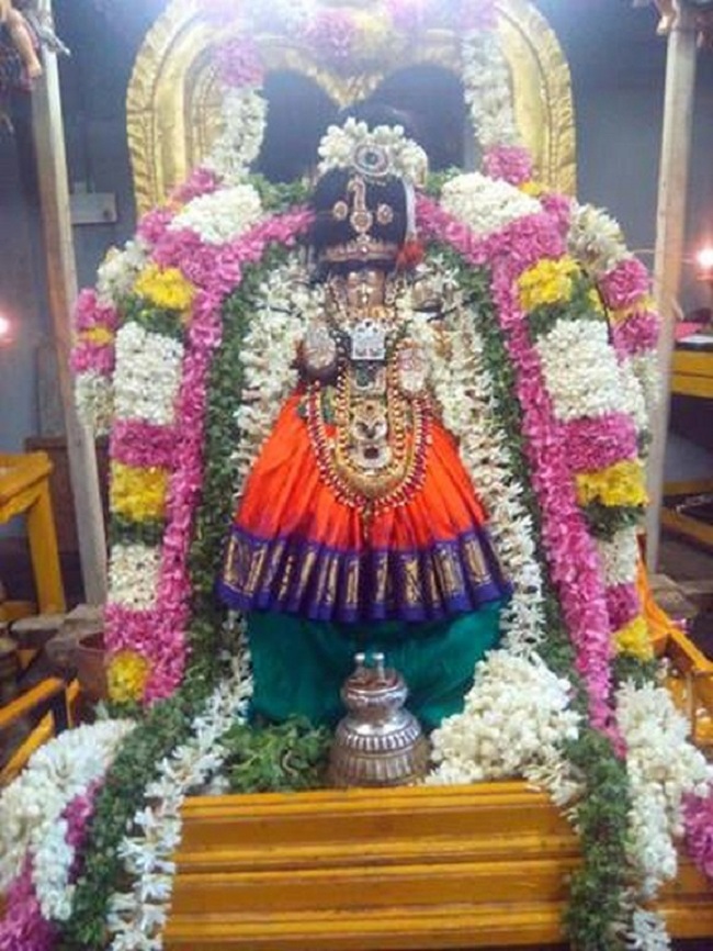 Sri Padaladhri Narasimha Perumal Koil (Singaperumal Koil) Sri Ahobilavalli Thayar Aadi Vellikizhamai Purappadu1
