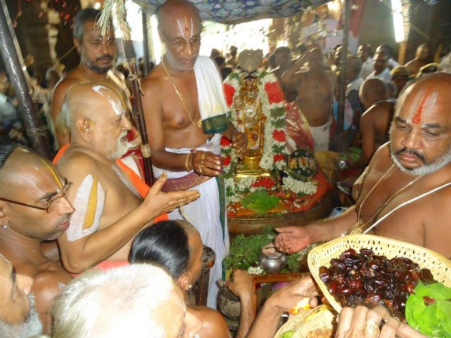 Srimushnam Andavan Mangalasasanam at Srirangam 2014 05