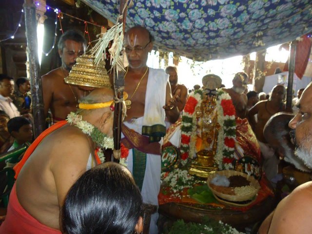 Srimushnam Andavan Mangalasasanam at Srirangam 2014 07