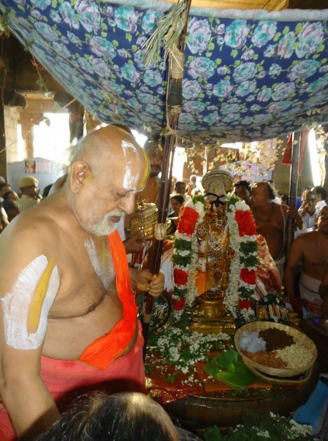 Srimushnam Andavan Mangalasasanam at Srirangam 2014 10