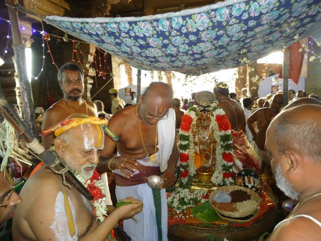 Srimushnam Andavan Mangalasasanam at Srirangam 2014 11