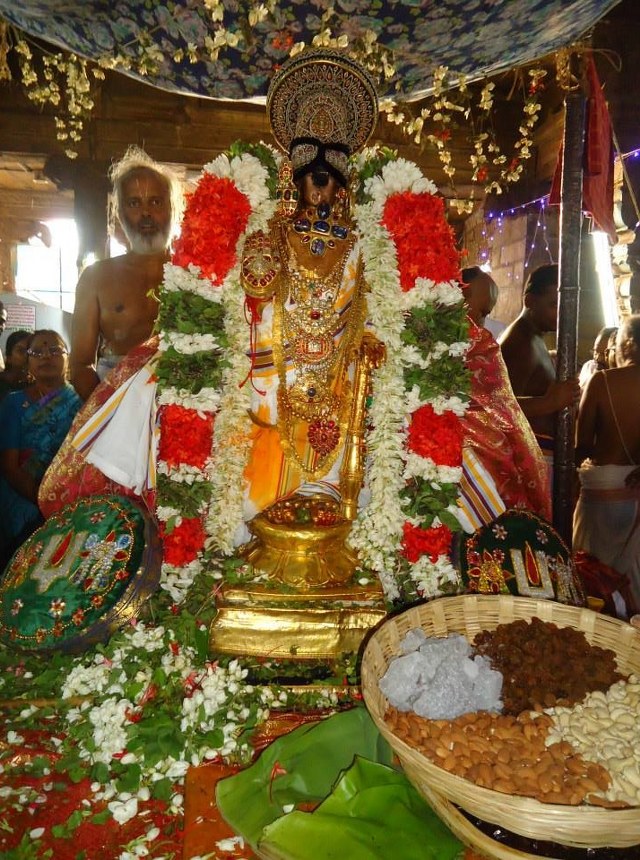 Srimushnam Andavan Mangalasasanam at Srirangam 2014 15