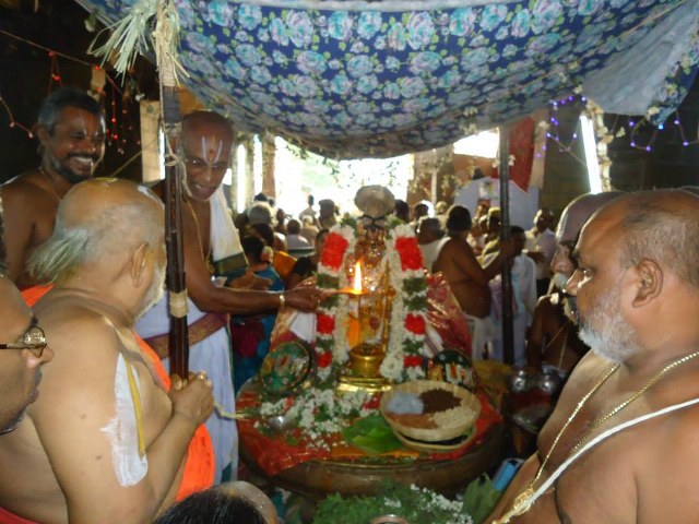Srimushnam Andavan Mangalasasanam at Srirangam 2014 16