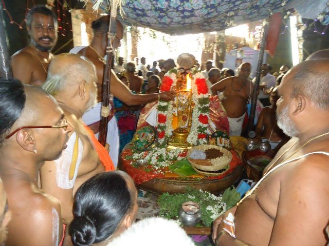 Srimushnam Andavan Mangalasasanam at Srirangam 2014 18