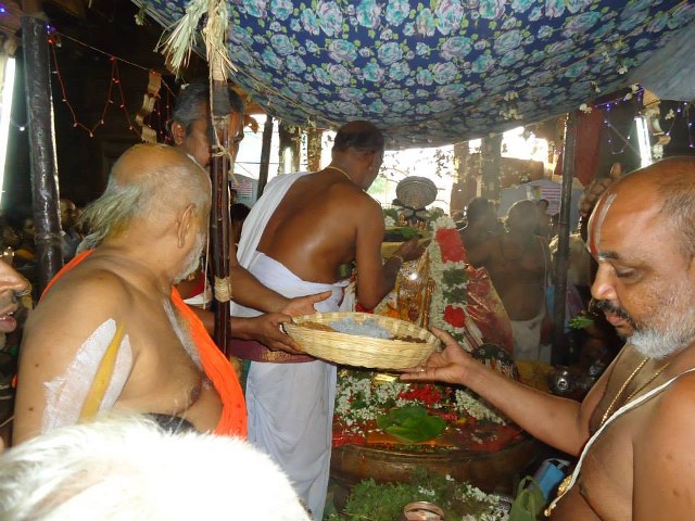 Srimushnam Andavan Mangalasasanam at Srirangam 2014 21