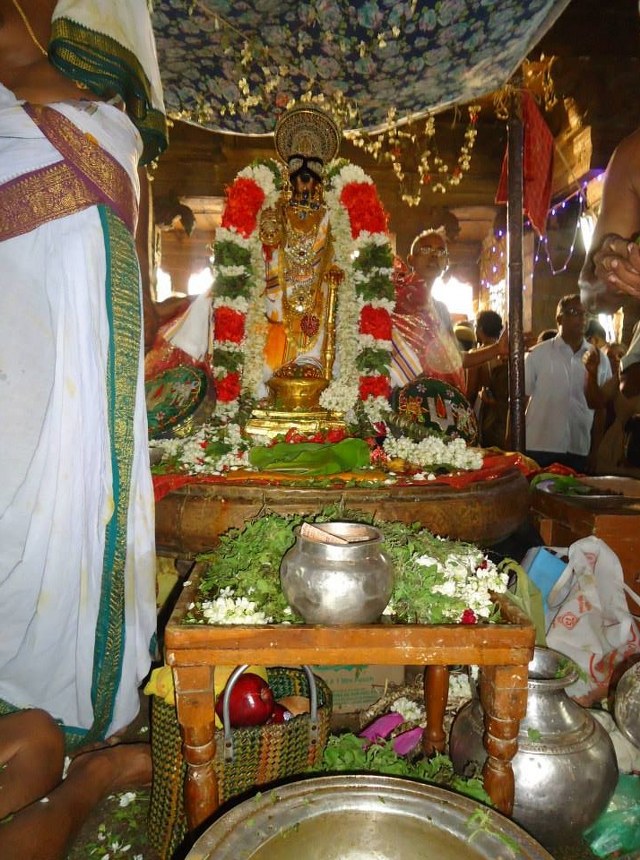 Srimushnam Andavan Mangalasasanam at Srirangam 2014 23