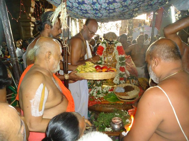 Srimushnam Andavan Mangalasasanam at Srirangam 2014 24