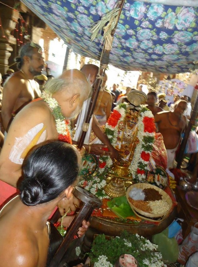Srimushnam Andavan Mangalasasanam at Srirangam 2014 27