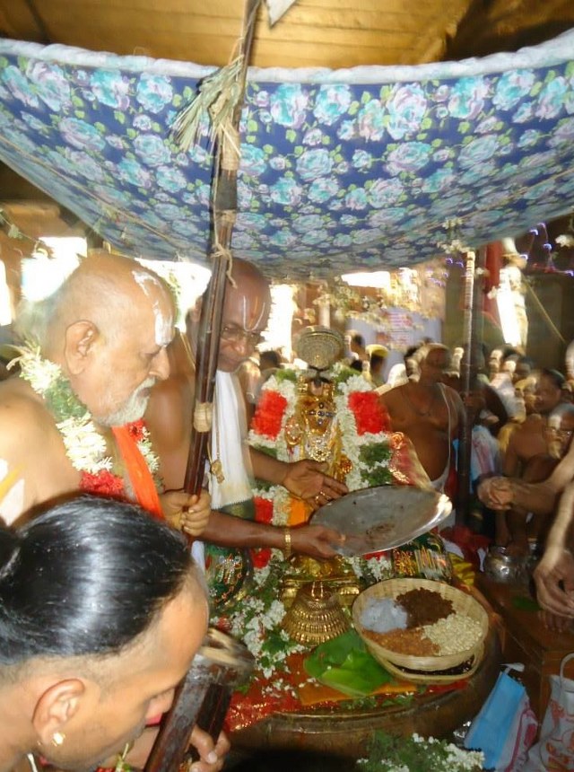Srimushnam Andavan Mangalasasanam at Srirangam 2014 28