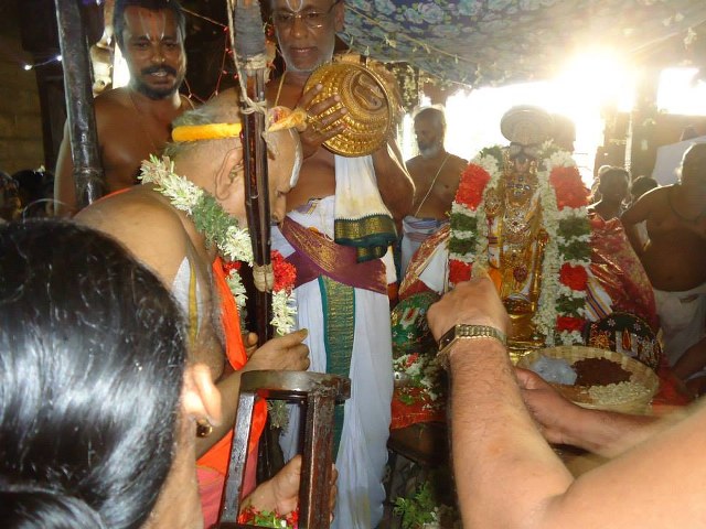 Srimushnam Andavan Mangalasasanam at Srirangam 2014 29
