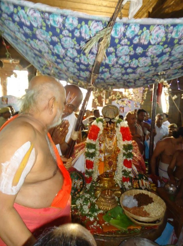 Srimushnam Andavan Mangalasasanam at Srirangam 2014 30