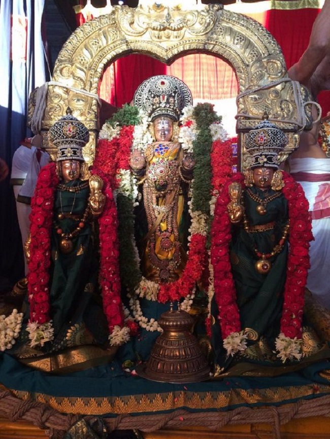 Sriperumbudur Swami Ramanujar Aavani Thiruvadirai Purappadu10