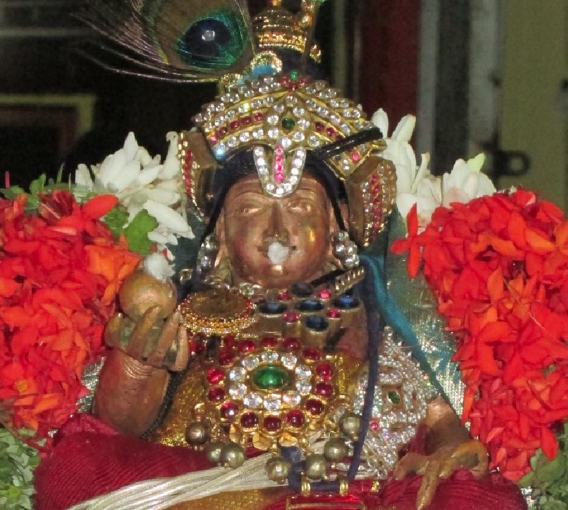 THirukuralappan Sannadhi Sri Jayanthi Utsavam