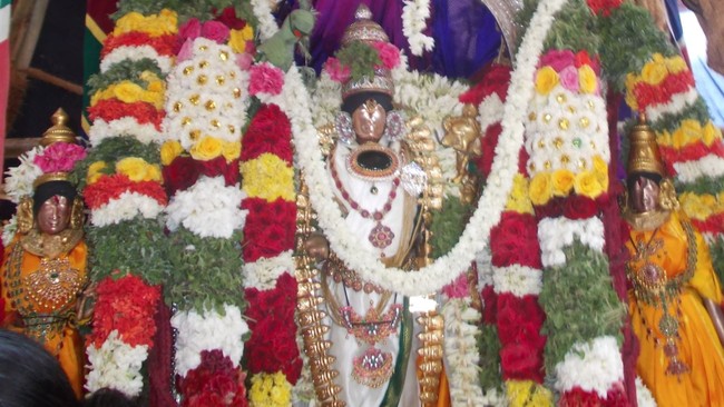 THirumaliruncholai Kallazhagar Aadi Brahmotsavam Thiruther 2014 03