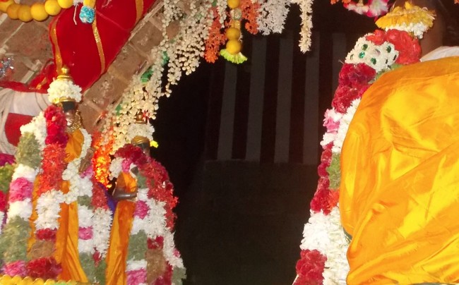 THirumaliruncholai Kallazhagar Aadi Brahmotsavam Thiruther 2014 05