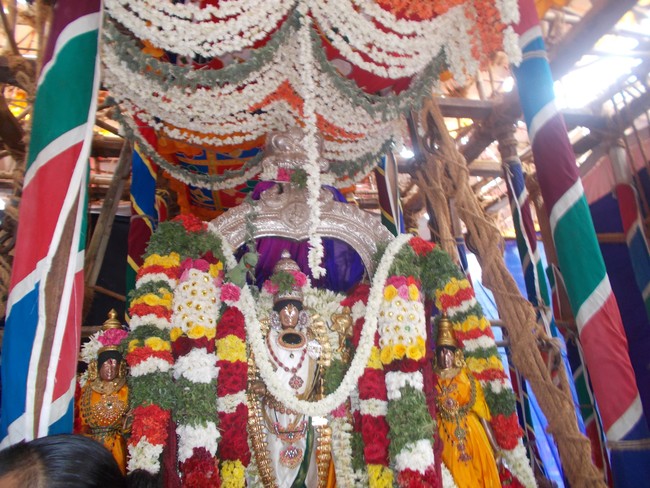 THirumaliruncholai Kallazhagar Aadi Brahmotsavam Thiruther 2014 09