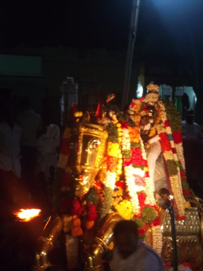 THirumaliruncholai Kallazhagar Aadi Bramotsavam Choornotsavam Kudhirai Vahanam 2014 5